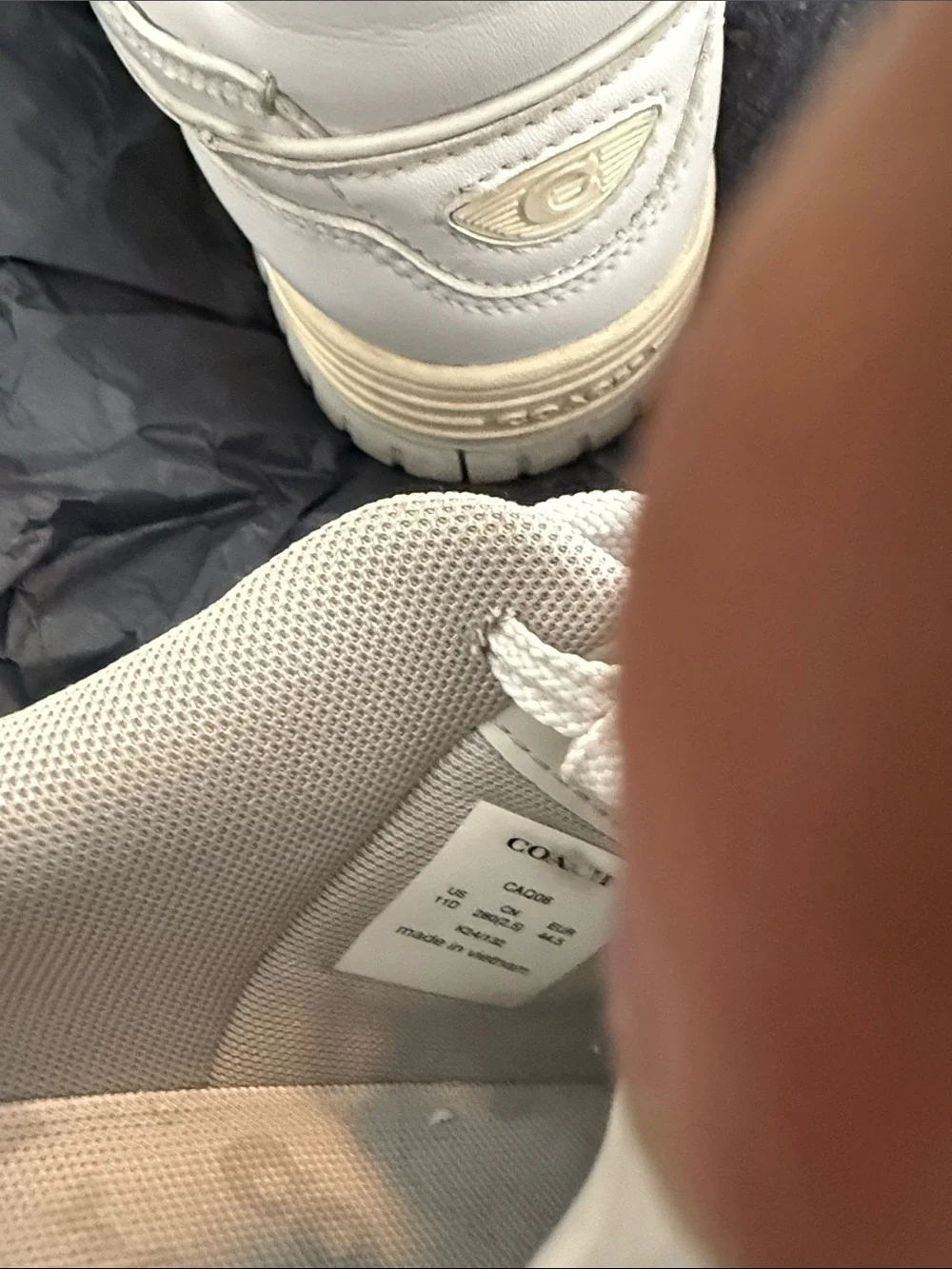 Coach White Leather Low-Top Sneakers
